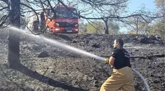 Hatay'da Bahçede Yangın Kontrol Altına Alındı