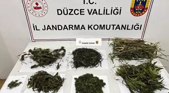 Düzce'de Uyuşturucu Operasyonu: 876 Gram Esrar Ele Geçirildi