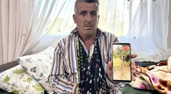 Engerek Yılanı Saldırısı Sonrası Çiftçinin Yaşam Mücadelesi