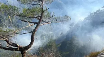 Hatay'da Amanoslar'daki Orman Yangını 28 Saatte Kontrol Altına Alındı