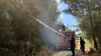 Hatay'da Orman Yangını Kontrol Altında