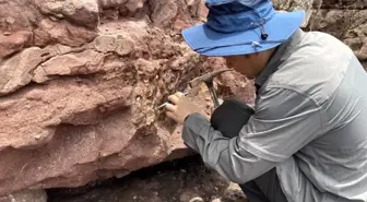 Hong Kong'da İlk Dinozor Fosilleri Keşfedildi