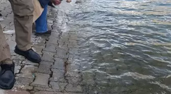 Malatya'da 750 Bin Balık Yavrusu Karakaya Barajı'na Bırakıldı