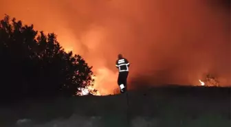 Antakya'daki Orman Yangını Büyümeden Söndürüldü