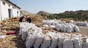 Beypazarı'nda İhtiyaç Sahiplerine Yakacak Yardımı Hazırlıkları Devam Ediyor