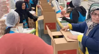 Bosna-Hersek'e Kuru Gıda Yardımı Gönderildi