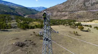 VEDAŞ, Çatak'ta Enerji Altyapısını Güçlendiriyor