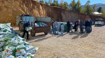 Çelikhan'da Çiftçilere Fiğ Tohumu Dağıtımı Yapıldı