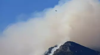 Denizli'de Orman Yangınına Havadan ve Karadan Müdahale Devam Ediyor