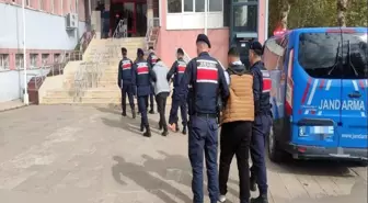 Tokat'ta Çalınan Küçükbaş Hayvanlar Jandarma Tarafından Bulundu