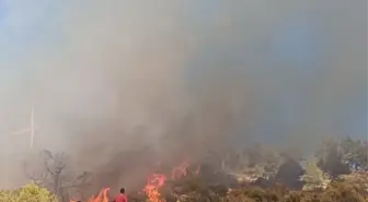 Mersin'de Ormana Sıçrayan Yangın Kontrol Altına Alındı