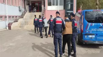 Tokat'ta Küçükbaş Hayvan Hırsızlığı Operasyonunda 2 Tutuklama