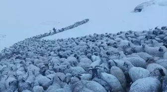 Van'da Kar Kalınlığı 20 Santimetreye Ulaştı