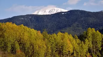 Ilgaz Dağı'nda Sonbahar ve Kış Aynı Anda Yaşanıyor