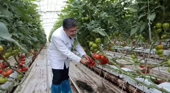 Bakan Yumaklı, Diyadin Tarıma Dayalı İhtisas Sera Organize Sanayi Bölgesi'ni İnceledi