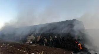 Cizre'de Saman Balyaları Yangında Tükendi