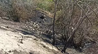 Malatya'nın Darende ilçesinde bahçe yangını kontrol altına alındı