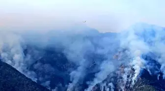 Denizli'de Orman Yangını Üçüncü Gününe Girdi