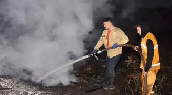 Aydın'da Ormanlık ve Zeytinlik Alanda Yangın Kontrol Altına Alındı