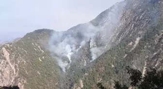 Kahramanmaraş'taki Orman Yangınına Müdahale Devam Ediyor