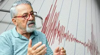 Prof. Dr. Naci Görür: Deprem dirençli Adana'yı kurun