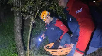 Rize'de Sağanak Yağış Nedeniyle Aile Tahliye Edildi