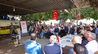 Mersin Tarımsal Üretimde Türkiye'de İlk Sırada