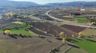 Kastamonu'da 12 Bin Yıllık Siyez Buğdayı Ekim Zamanı