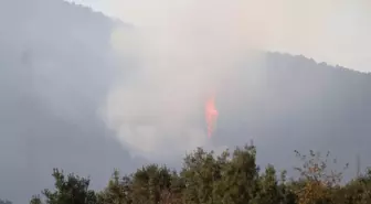 Denizli'deki Orman Yangını 5. Gününde Sürüyor