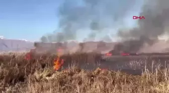 Hakkari'de Kuş Cennetinde Yangın Çıktı