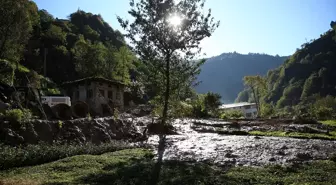 Rize'de Şiddetli Yağış Sonrası Toprak Kayması Hasar Tespiti Başladı