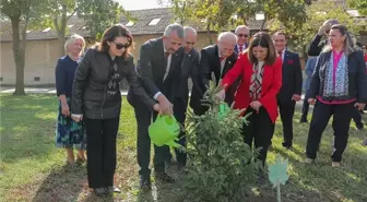 Edirne'de Cumhuriyet'in 101. Yılı İçin Fidan Dikimi ve Etkinlikler Düzenlendi