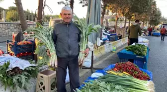 Aydın'ın Gölhisar Mahallesi Enginar Sezonuna Girdi