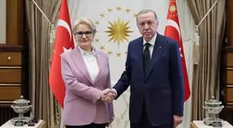 Cumhurbaşkanı Erdoğan, Meral Akşener'e açtığı tüm davaları geri çekti