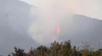 Denizli'deki orman yangını kontrol altına alındı