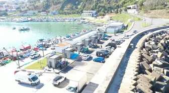 Arnavutköy'de Karaburun Balık Hali Hizmete Açıldı