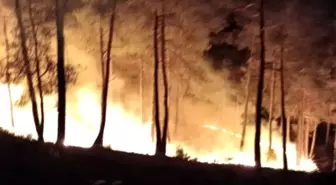 Kütahya'da Orman Yangını Kontrol Altına Alındı