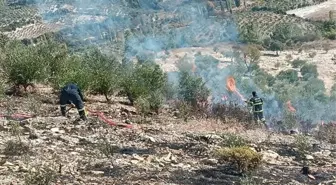 Hatay'da Zeytinlik Alanda Yangın Söndürüldü