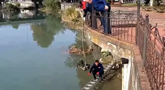 Zonguldak'ta Çayda Mahsur Kalan Kedi Kurtarıldı