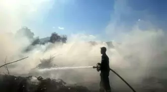 Köyceğiz'de Yol Kenarındaki Alevler İtfaiye Ekiplerince Söndürüldü