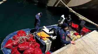 Yalova açıklarında kaçak midye avcılarına baskın: 20 ton midye ele geçirildi