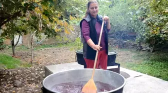 Bilecik'te Akdeniz Sineği Hurma Pekmezi Üretimini Vurdu