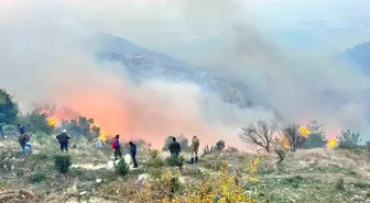 Hatay'da Orman Yangınına Müdahale Devam Ediyor