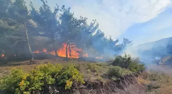 Hatay'ın Arsuz ilçesinde orman yangını kontrol altına alınmaya çalışılıyor