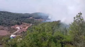 Hatay'da Orman Yangınına Müdahale Başladı