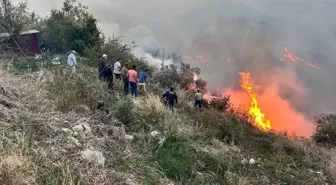 Hatay'da ormanda başlayan yangın evlere sıçradı