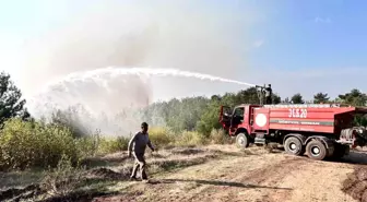 Hatay'da Orman Yangını Büyüyor