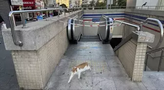 İzmir Metrosu'nda Yürüyen Merdivenler Yolcuları Mağdur Ediyor