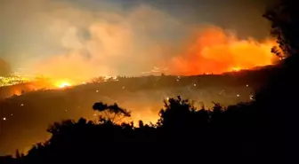 Hatay'da Orman Yangını 8 Saat Sonra da Sürüyor