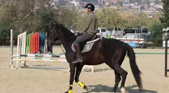 Kocaeli'de Emekli Atlar, Çocuklara Biniciliği Öğretiyor